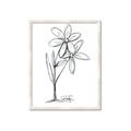 Picture of Single Flower III _GroupedProduct_Rectangle_Portrait_Framed_Matted_