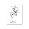 Picture of Single Flower III _GroupedProduct_Rectangle_Portrait_Framed_Matted_