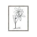 Picture of Single Flower III _GroupedProduct_Rectangle_Portrait_Framed_Matted_