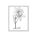 Picture of Single Flower III _GroupedProduct_Rectangle_Portrait_Framed_Matted_