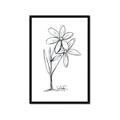 Picture of Single Flower III _GroupedProduct_Rectangle_Portrait_Framed_Matted_