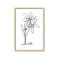 Picture of Single Flower III _GroupedProduct_Rectangle_Portrait_Framed_Matted_