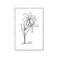 Picture of Single Flower III _GroupedProduct_Rectangle_Portrait_Framed_Matted_