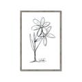 Picture of Single Flower III _GroupedProduct_Rectangle_Portrait_Framed_Matted_