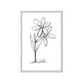 Picture of Single Flower III _GroupedProduct_Rectangle_Portrait_Framed_Matted_