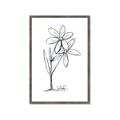 Picture of Single Flower III _GroupedProduct_Rectangle_Portrait_Framed_Matted_