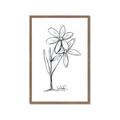 Picture of Single Flower III _GroupedProduct_Rectangle_Portrait_Framed_Matted_