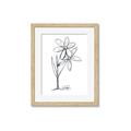 Picture of Single Flower III _GroupedProduct_Rectangle_Portrait_Framed_Matted_