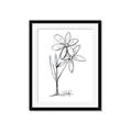 Picture of Single Flower III _GroupedProduct_Rectangle_Portrait_Framed_Matted_