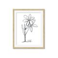 Picture of Single Flower III _GroupedProduct_Rectangle_Portrait_Framed_Matted_