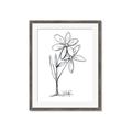 Picture of Single Flower III _GroupedProduct_Rectangle_Portrait_Framed_Matted_