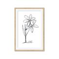 Picture of Single Flower III _GroupedProduct_Rectangle_Portrait_Framed_Matted_