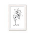 Picture of Single Flower III _GroupedProduct_Rectangle_Portrait_Framed_Matted_