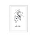 Picture of Single Flower III _GroupedProduct_Rectangle_Portrait_Framed_Matted_