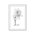 Picture of Single Flower III _GroupedProduct_Rectangle_Portrait_Framed_Matted_