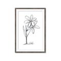 Picture of Single Flower III _GroupedProduct_Rectangle_Portrait_Framed_Matted_