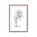 Picture of Single Flower III _GroupedProduct_Rectangle_Portrait_Framed_Matted_