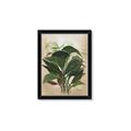 Picture of Tropical Greens _GroupedProduct_Rectangle_Portrait_Framed_Matted_