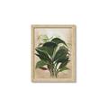 Picture of Tropical Greens _GroupedProduct_Rectangle_Portrait_Framed_Matted_