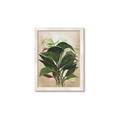Picture of Tropical Greens _GroupedProduct_Rectangle_Portrait_Framed_Matted_
