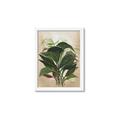 Picture of Tropical Greens _GroupedProduct_Rectangle_Portrait_Framed_Matted_