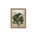 Picture of Tropical Greens _GroupedProduct_Rectangle_Portrait_Framed_Matted_