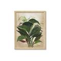 Picture of Tropical Greens _GroupedProduct_Rectangle_Portrait_Framed_Matted_