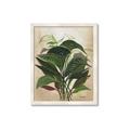 Picture of Tropical Greens _GroupedProduct_Rectangle_Portrait_Framed_Matted_