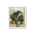 Picture of Tropical Greens _GroupedProduct_Rectangle_Portrait_Framed_Matted_