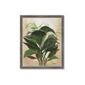 Picture of Tropical Greens _GroupedProduct_Rectangle_Portrait_Framed_Matted_