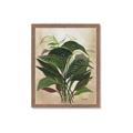 Picture of Tropical Greens _GroupedProduct_Rectangle_Portrait_Framed_Matted_