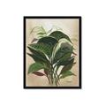 Picture of Tropical Greens _GroupedProduct_Rectangle_Portrait_Framed_Matted_