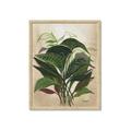 Picture of Tropical Greens _GroupedProduct_Rectangle_Portrait_Framed_Matted_