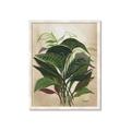Picture of Tropical Greens _GroupedProduct_Rectangle_Portrait_Framed_Matted_