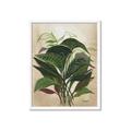 Picture of Tropical Greens _GroupedProduct_Rectangle_Portrait_Framed_Matted_