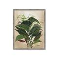 Picture of Tropical Greens _GroupedProduct_Rectangle_Portrait_Framed_Matted_