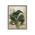 Picture of Tropical Greens _GroupedProduct_Rectangle_Portrait_Framed_Matted_