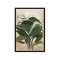 Picture of Tropical Greens _GroupedProduct_Rectangle_Portrait_Framed_Matted_