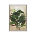Picture of Tropical Greens _GroupedProduct_Rectangle_Portrait_Framed_Matted_