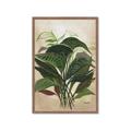 Picture of Tropical Greens _GroupedProduct_Rectangle_Portrait_Framed_Matted_