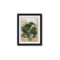 Picture of Tropical Greens _GroupedProduct_Rectangle_Portrait_Framed_Matted_