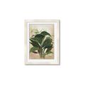 Picture of Tropical Greens _GroupedProduct_Rectangle_Portrait_Framed_Matted_