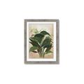 Picture of Tropical Greens _GroupedProduct_Rectangle_Portrait_Framed_Matted_