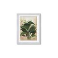 Picture of Tropical Greens _GroupedProduct_Rectangle_Portrait_Framed_Matted_