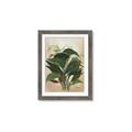 Picture of Tropical Greens _GroupedProduct_Rectangle_Portrait_Framed_Matted_