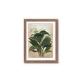 Picture of Tropical Greens _GroupedProduct_Rectangle_Portrait_Framed_Matted_