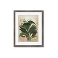 Picture of Tropical Greens _GroupedProduct_Rectangle_Portrait_Framed_Matted_