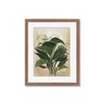 Picture of Tropical Greens _GroupedProduct_Rectangle_Portrait_Framed_Matted_