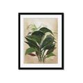 Picture of Tropical Greens _GroupedProduct_Rectangle_Portrait_Framed_Matted_