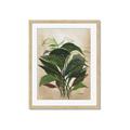 Picture of Tropical Greens _GroupedProduct_Rectangle_Portrait_Framed_Matted_